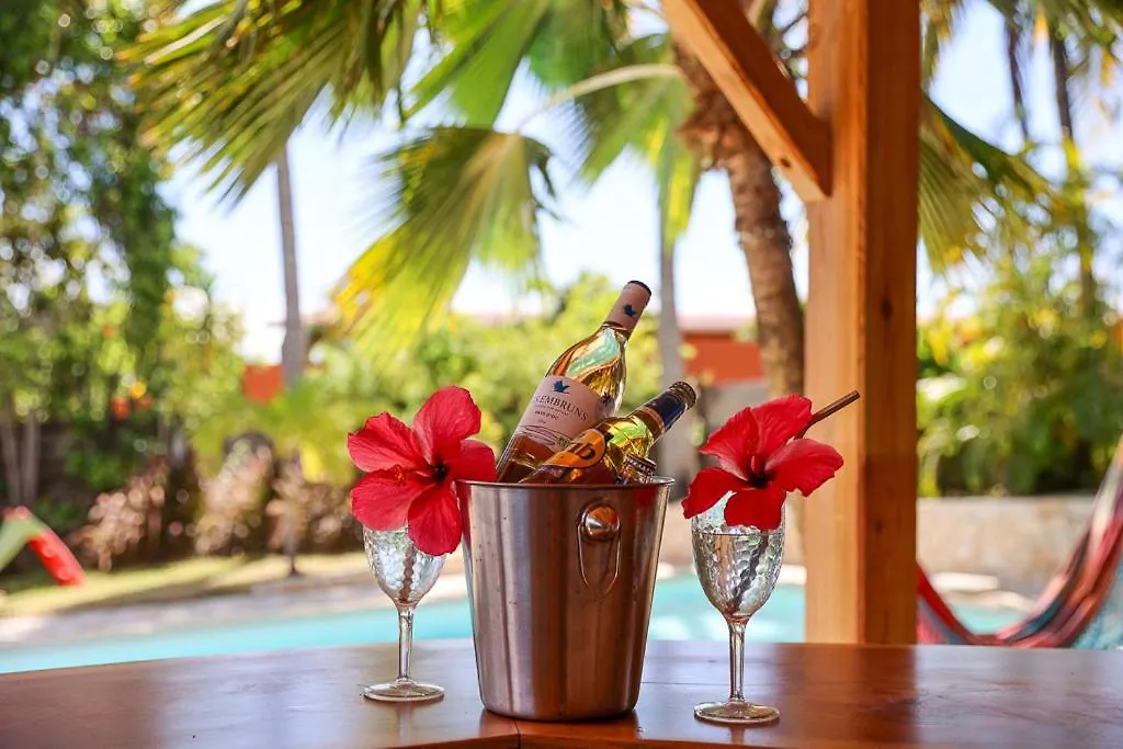Villa Nirvana Vue Mer Piscine Plage De Petit Havre A 200 Metre Le Gosier  Guadeloupe